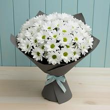 Букет цветов из:  Хризантемы #REPLACE_PRED# Новодонецкой