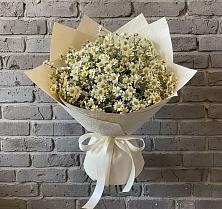 Букет цветов из:  Ромашки #REPLACE_PRED# Новодонецкой